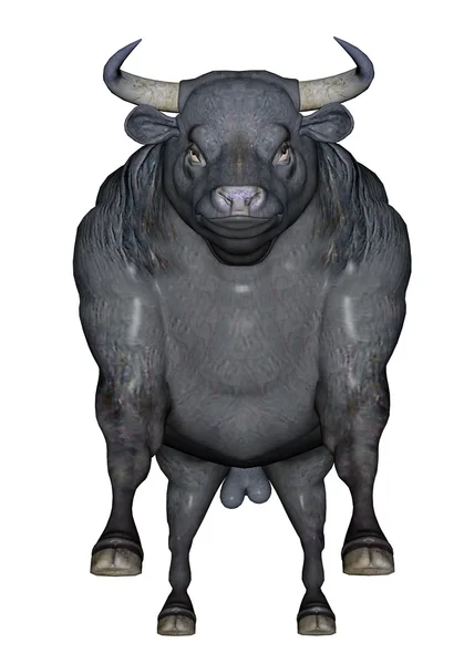 Aggressiv tjur — Stockfoto