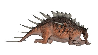 Kentrosaurus dinosaur resting - 3D render clipart