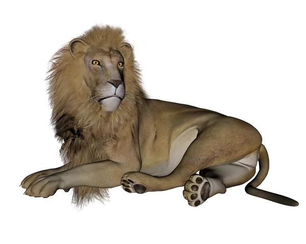 Lion resting - 3D render — Stock Photo, Image