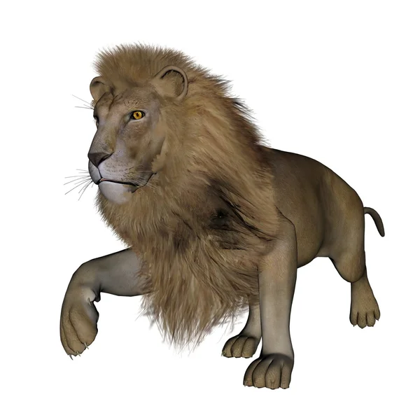 Aslan - 3d render yürümek — Stok fotoğraf