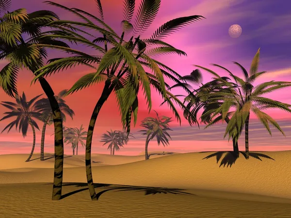 Pôr do sol tropical - renderização 3D — Fotografia de Stock