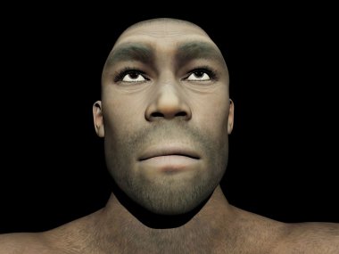 Homo erectus erkek - 3d render