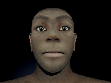 Homo erectus female - 3D render clipart