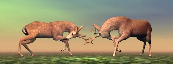 Bucks fighting - 3D render — Stock Photo, Image