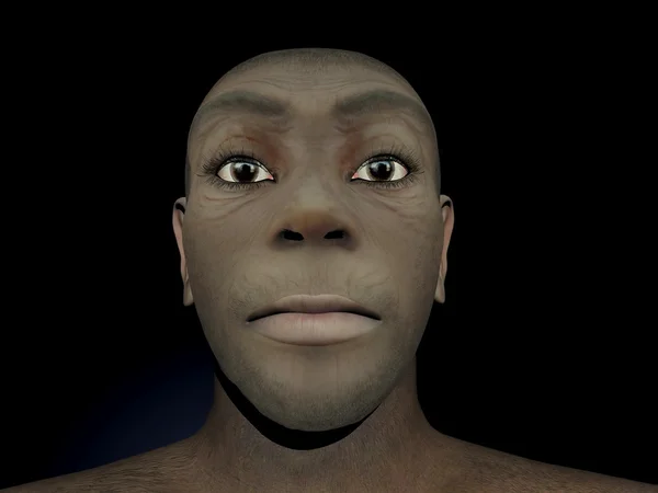 Homo erectus kobiece - 3d renderowania — Zdjęcie stockowe