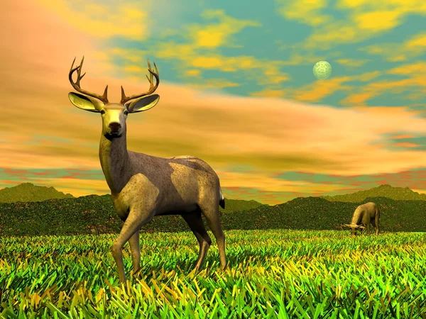 Bucks in ntaure - 3D render — Stock Photo, Image