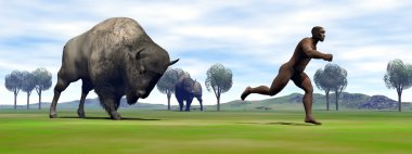 Bison charging homo erectus - 3D render clipart
