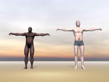 modern insan ve homo erectus - 3d render