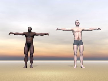 Modern human and homo erectus - 3D render clipart