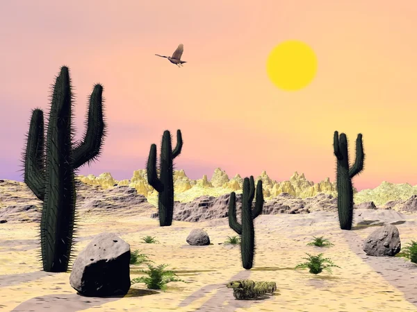 Desierto de Arizona - 3D render — Foto de Stock