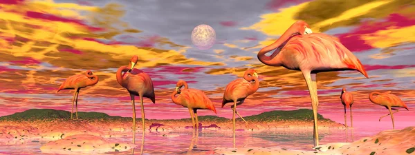 Flamants roses au coucher du soleil - rendu 3D — Photo