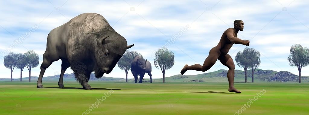 Bison charging homo erectus - 3D render