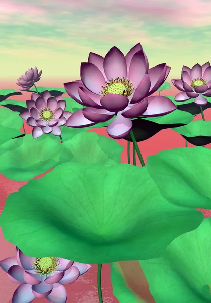 ピンクの睡蓮と蓮の花の 3 d レンダリング — ストック写真