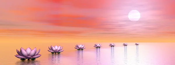 Water lilies steps to the sun - 3D render — Stock Photo, Image