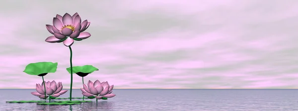 Pembe kıçımın ve lotus çiçekleri - 3d render — Stok fotoğraf