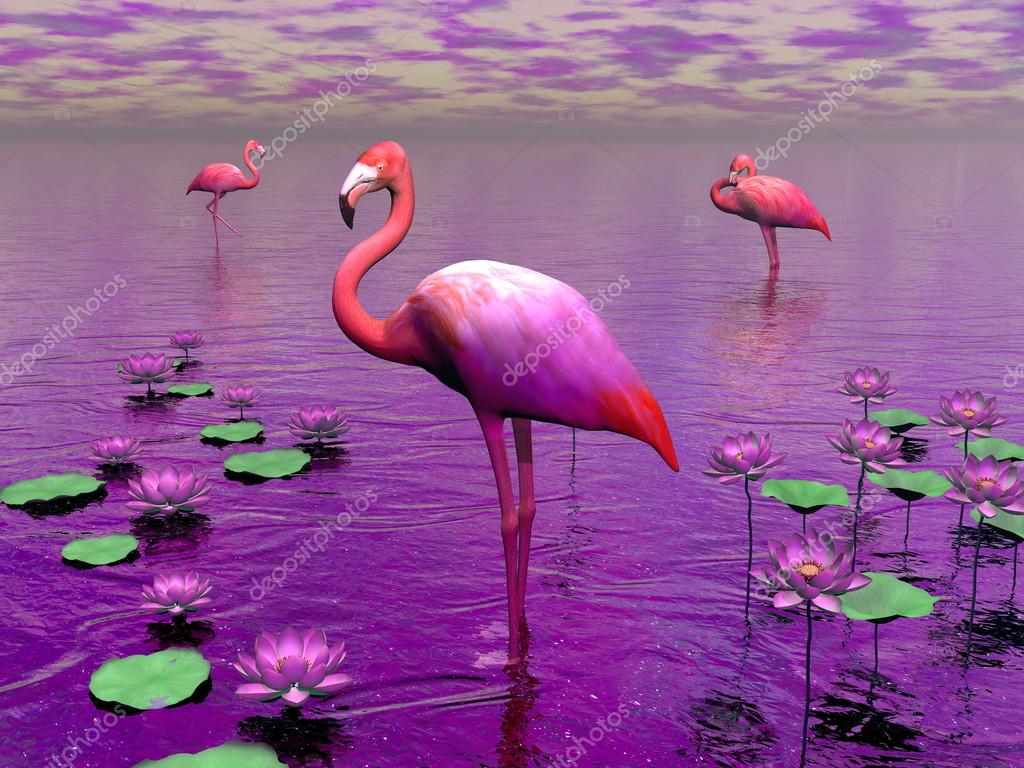 fósil dedo Fácil Flamingo fotos de stock, imágenes de Flamingo sin royalties | Depositphotos