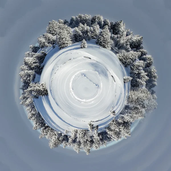 Planet of fir tree in winter, Switzerland — Stock Photo, Image