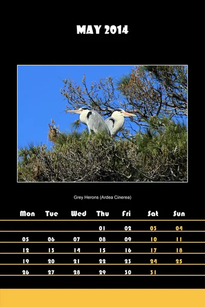 Calendário de pássaros para 2014 - maio — Fotografia de Stock