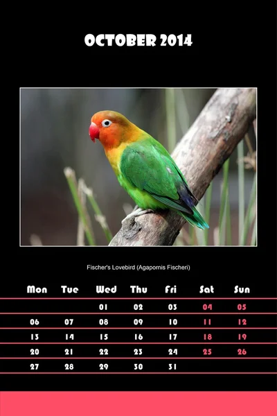 Vogel kalender voor 2014 - oktober — Stockfoto