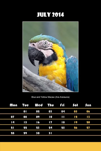 Vogelkalender für 2014 - Juli — Stockfoto