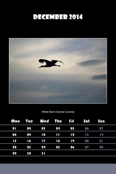 Bird calendar for 2014 - december — Stock Photo, Image