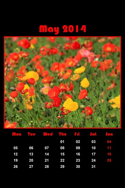 Nature calendar for 2014 - may — Stock Photo, Image