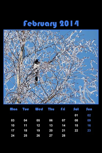 Calendario de la naturaleza para 2014 - febrero — Foto de Stock