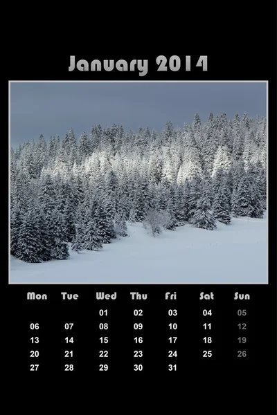 Nature calendar for 2014 - january — Stock Photo, Image