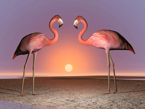 Flamingos Datum - 3D-Renderer — Stockfoto