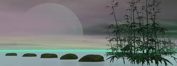 Green Zen - 3D рендеринг — стокове фото