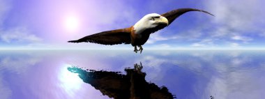 Amerikan kel kartal - 3d render