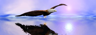 Amerikan kel kartal - 3d render