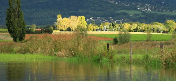 Campagna di Ginevra al tramonto, Svizzera — Foto Stock