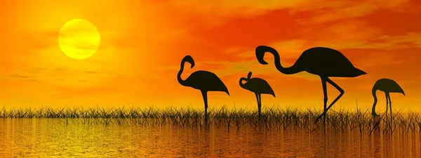 Flamingos bei Sonnenuntergang - 3D-Rendering — Stockfoto