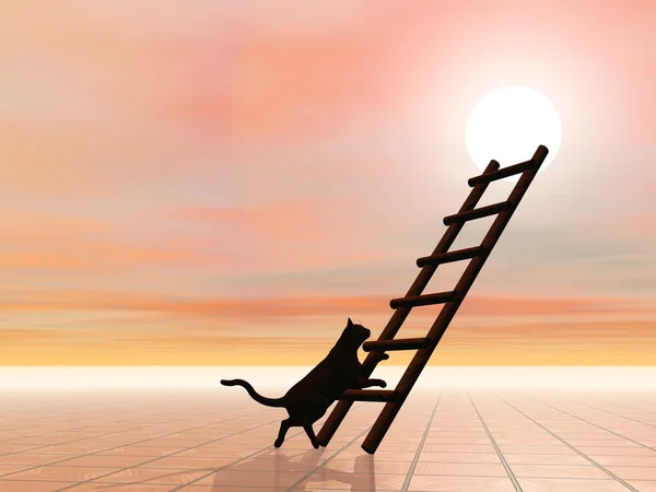 Лестница и кошка - 3D рендеринг — стоковое фото
