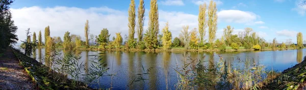 Autumnal trees panorama, Cudrefin, Switzerland — Stock Photo, Image