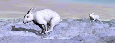 Arctic - 3d render tavşan