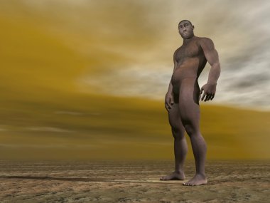 erkek homo erectus - 3d render