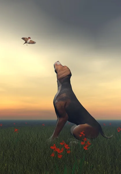 Schwarz gebräunter Hund und Schmetterling - 3D-Render — Stockfoto
