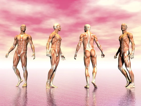 肌肉的男人-3d 渲染 — ストック写真