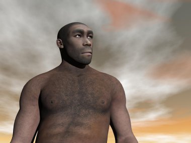 erkek homo erectus - 3d render