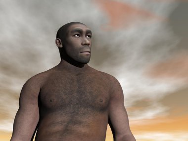 Male homo erectus - 3D render clipart