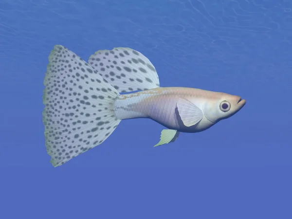 Guppy blå fisken under vattnet-3d render — Stockfoto