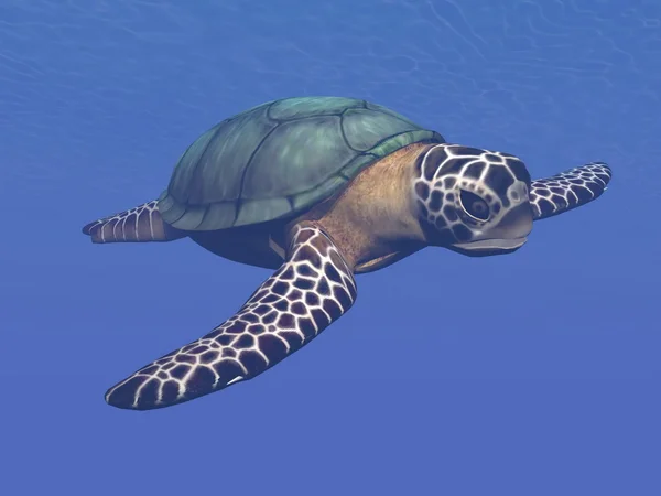 Tartaruga marinha renderização 3D — Fotografia de Stock