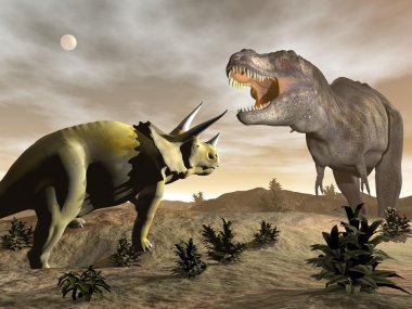Triceratops - 3d render kükreyen tyrannosaurus