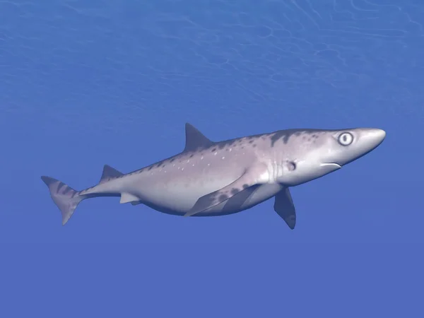 Shark underwater - 3D render — Stock Photo, Image