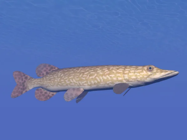 ノーザンパイク魚の水中の 3 d レンダリング — ストック写真