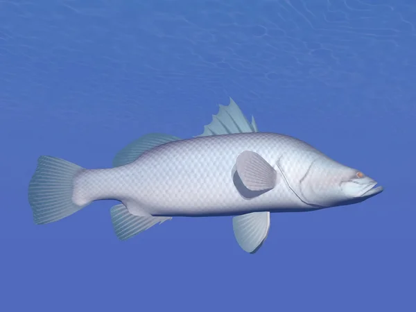 Barramundi ryb pod vodou - 3d vykreslení — Stock fotografie