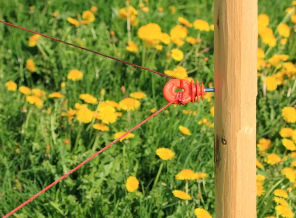 Mezőgazdasági elektromos kerítés — Stock Fotó