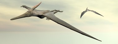 Pteranodon dinosaurs flying - 3D render clipart